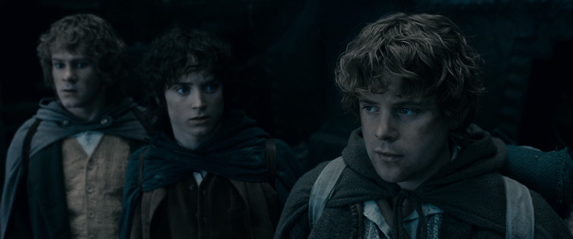 The Lord of the Rings: The Fellowship of the Ring (2001) HD screenshot 15713