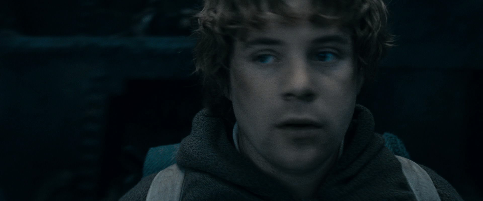 The Lord of the Rings: The Fellowship of the Ring (2001) screencap 15786