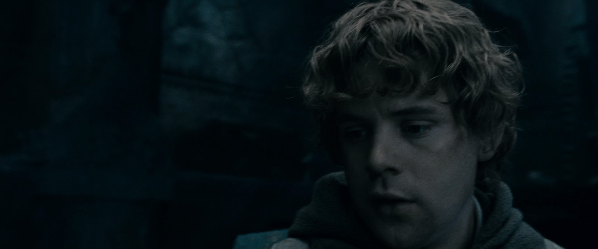 The Lord of the Rings: The Fellowship of the Ring (2001) HD screenshot 15788