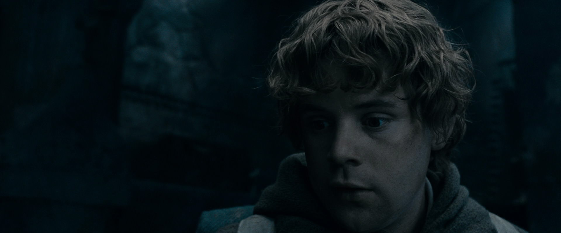 The Lord of the Rings: The Fellowship of the Ring (2001) screencap 15789
