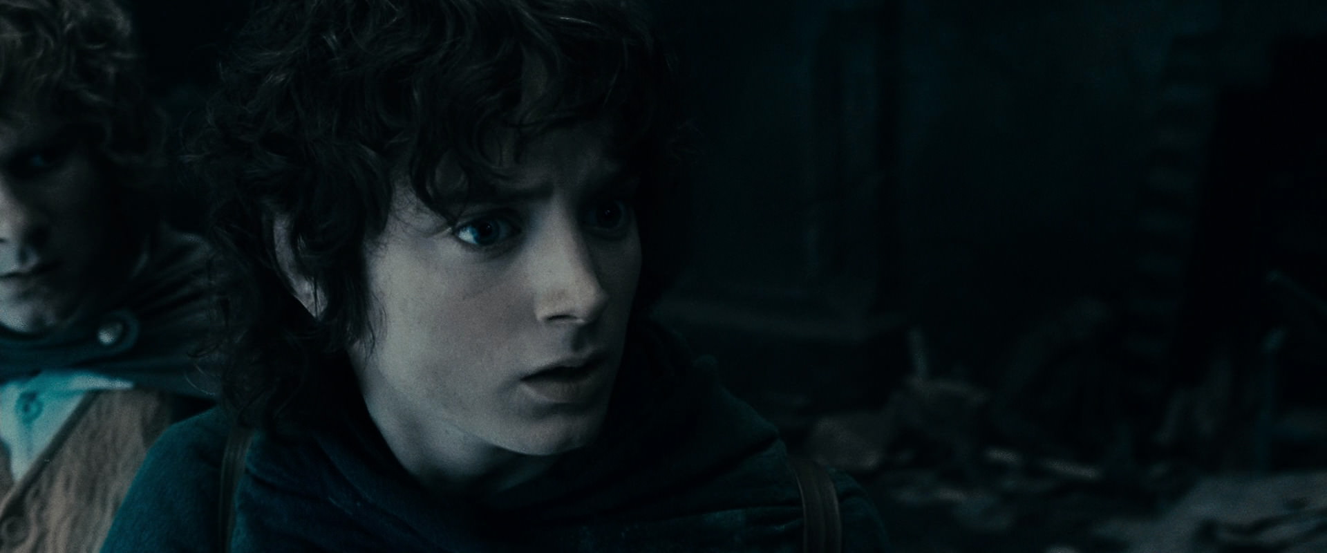 The Lord of the Rings: The Fellowship of the Ring (2001) HD screenshot 15794