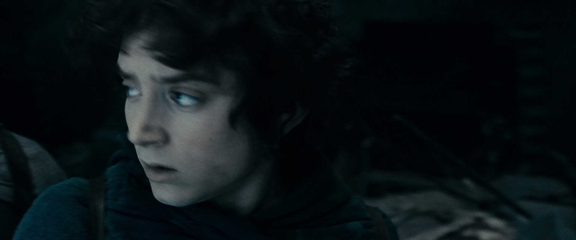 The Lord of the Rings: The Fellowship of the Ring (2001) screencap 15795
