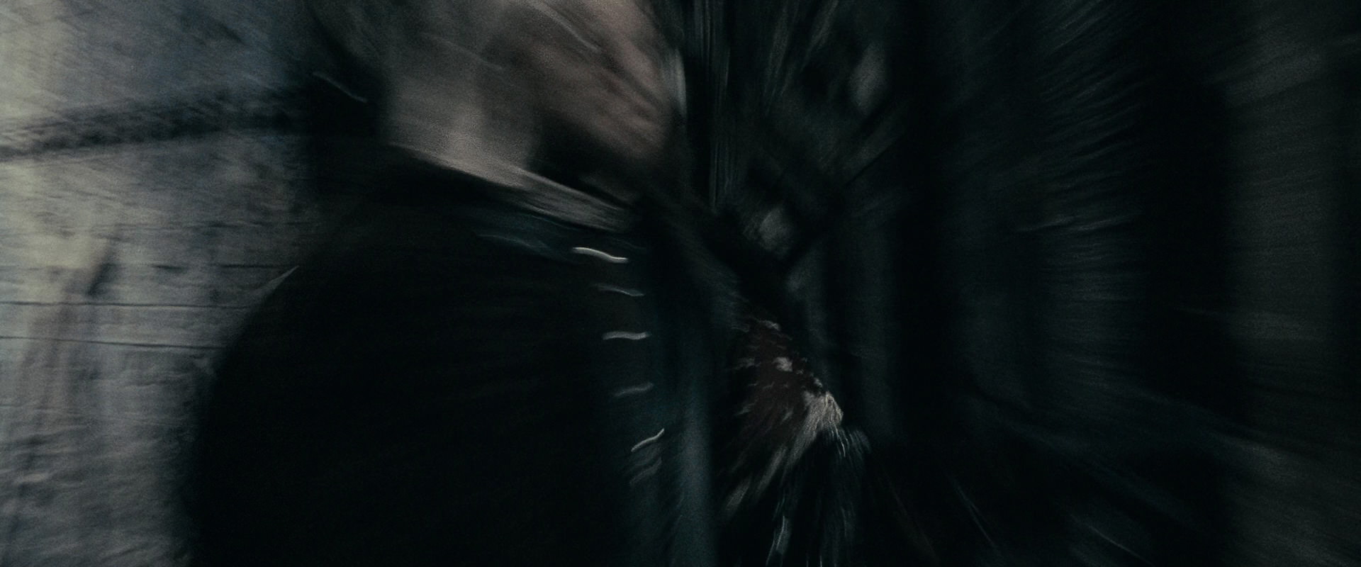 The Lord of the Rings: The Fellowship of the Ring (2001) screencap 15810