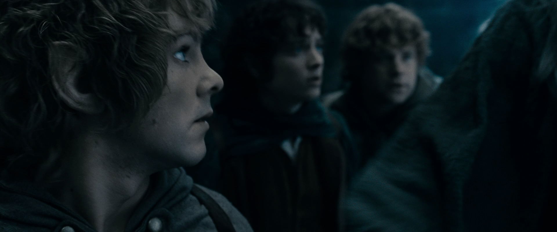 The Lord of the Rings: The Fellowship of the Ring (2001) movie still 15817