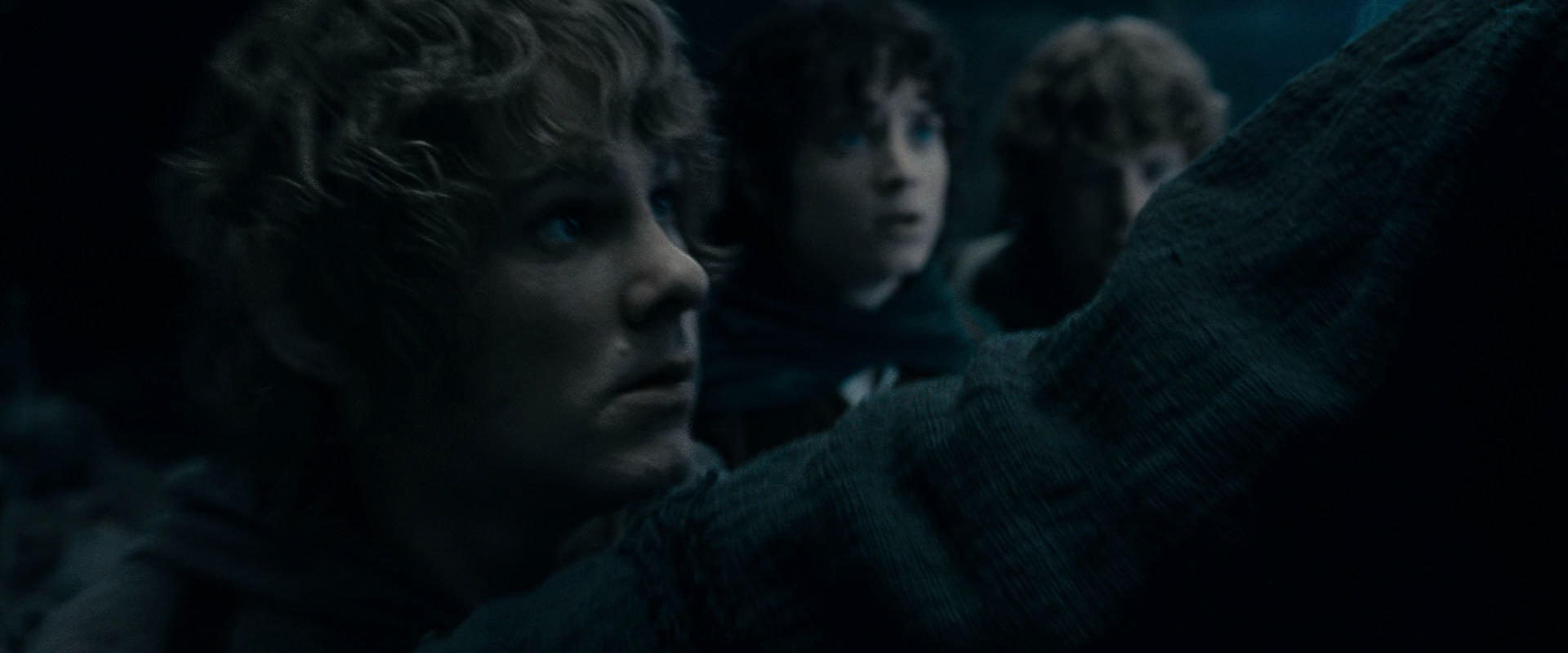 The Lord of the Rings: The Fellowship of the Ring (2001) HD screenshot 15818