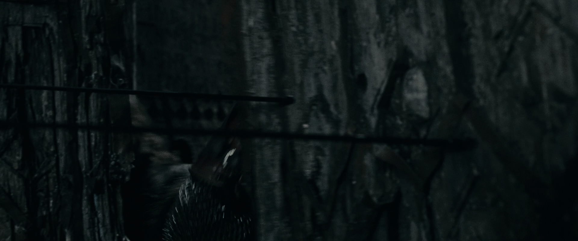 The Lord of the Rings: The Fellowship of the Ring (2001) screencap 15825