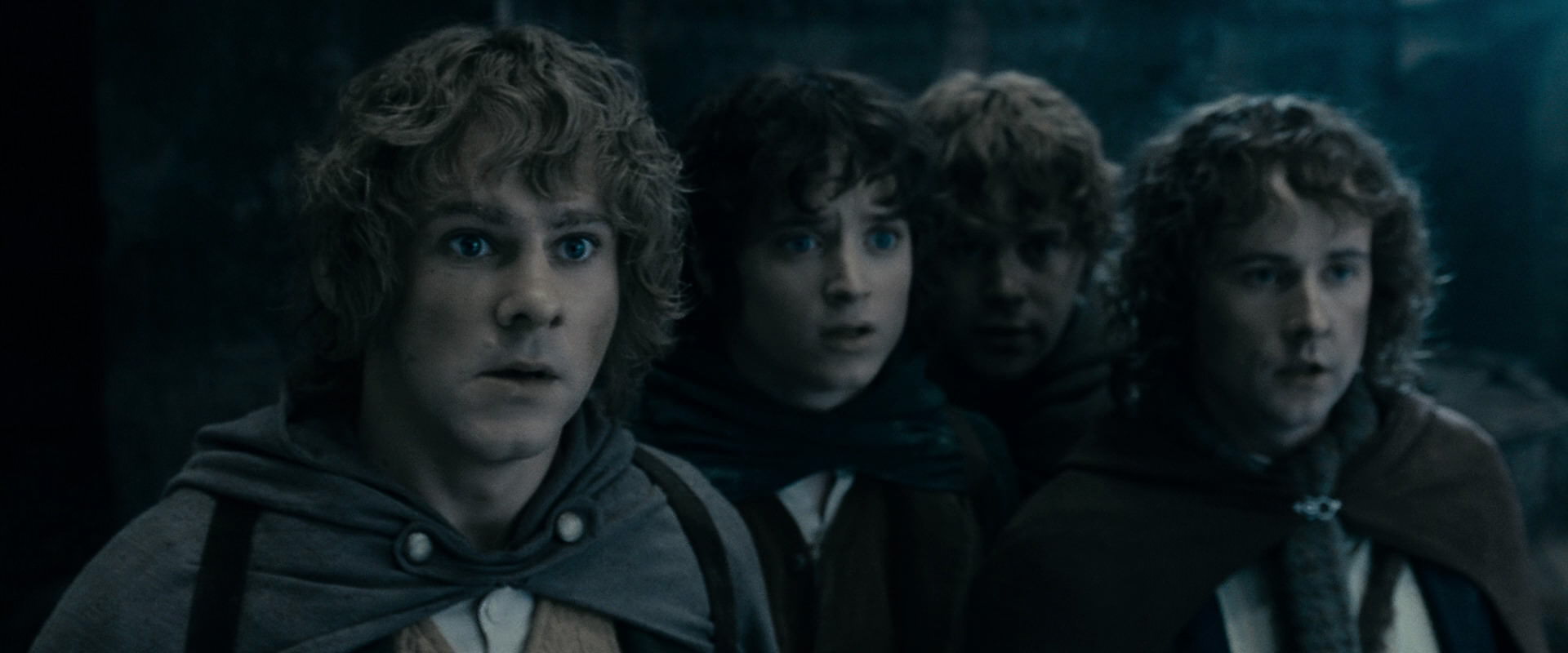 The Lord of the Rings: The Fellowship of the Ring (2001) screencap 15846