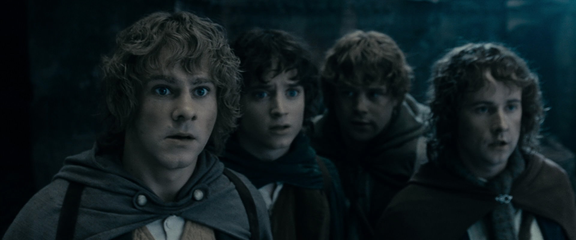The Lord of the Rings: The Fellowship of the Ring (2001) movie still 15847