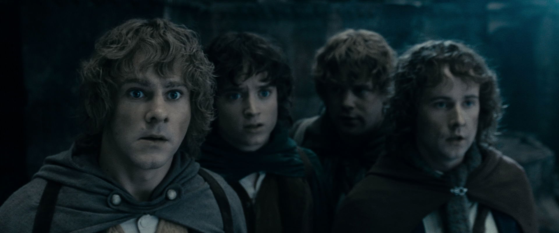The Lord of the Rings: The Fellowship of the Ring (2001) HD screenshot 15848