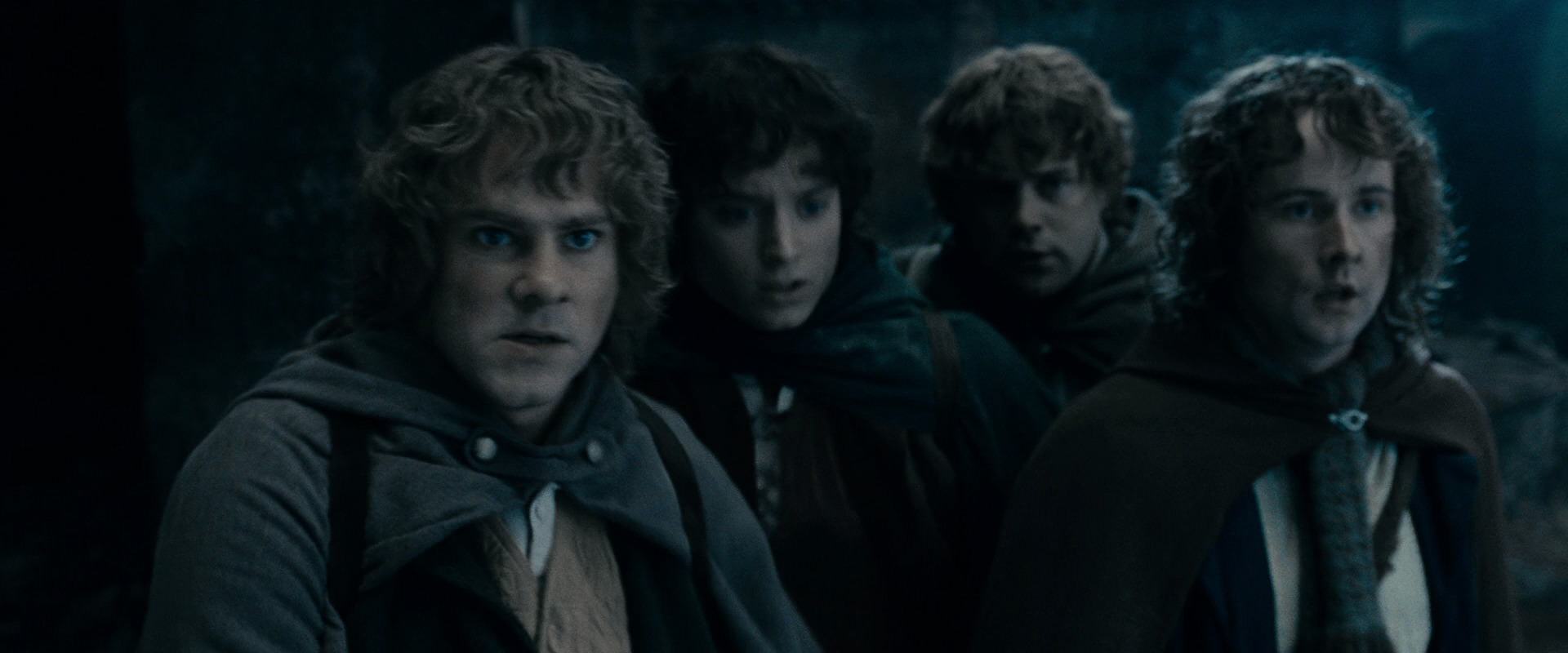 The Lord of the Rings: The Fellowship of the Ring (2001) HD screenshot 15854
