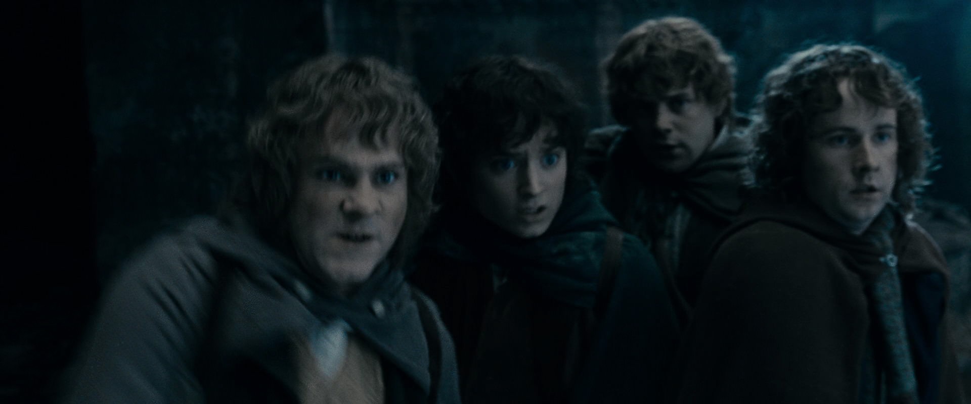 The Lord of the Rings: The Fellowship of the Ring (2001) screencap 15855