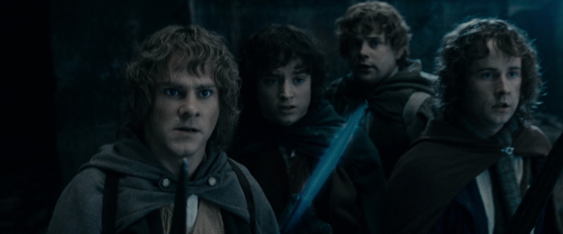 The Lord of the Rings: The Fellowship of the Ring (2001) HD screenshot 15857