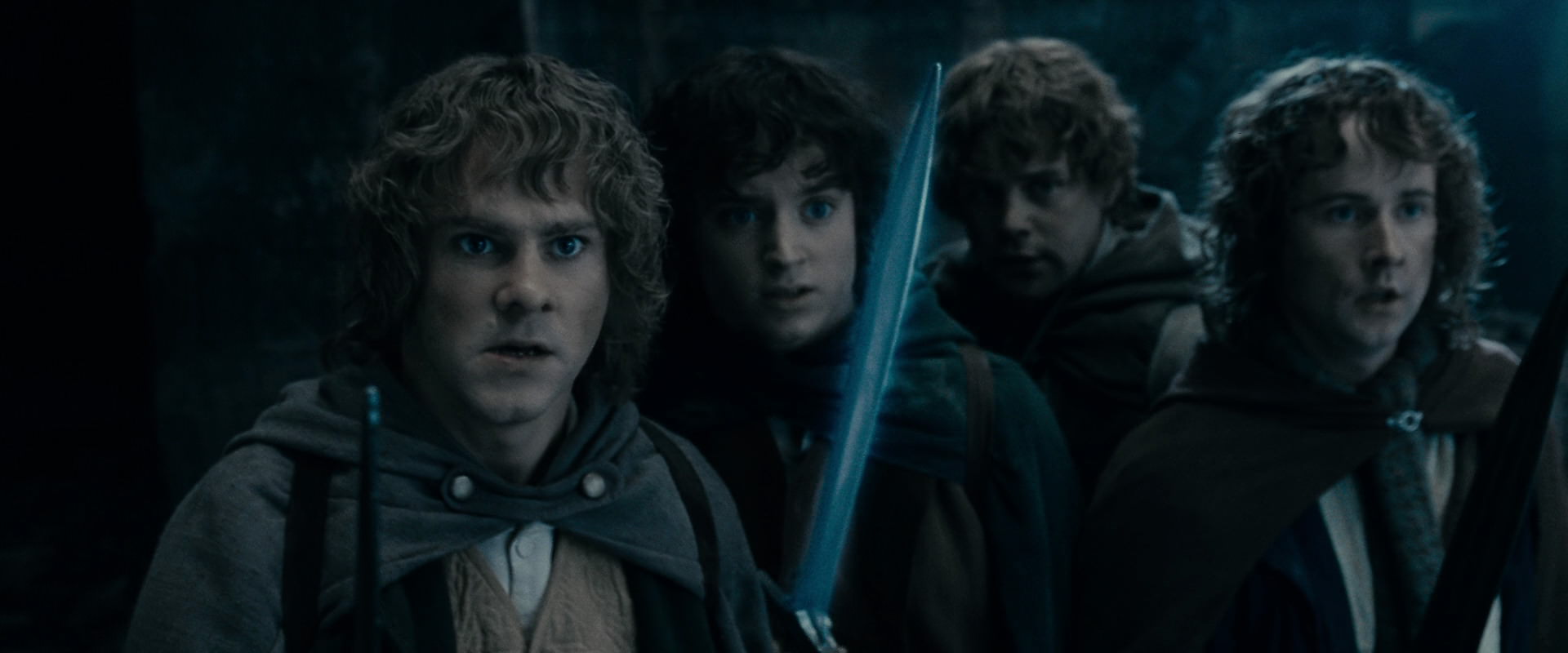 The Lord of the Rings: The Fellowship of the Ring (2001) screencap 15858