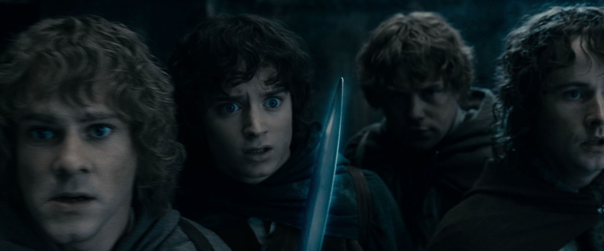 The Lord of the Rings: The Fellowship of the Ring (2001) movie still 15883