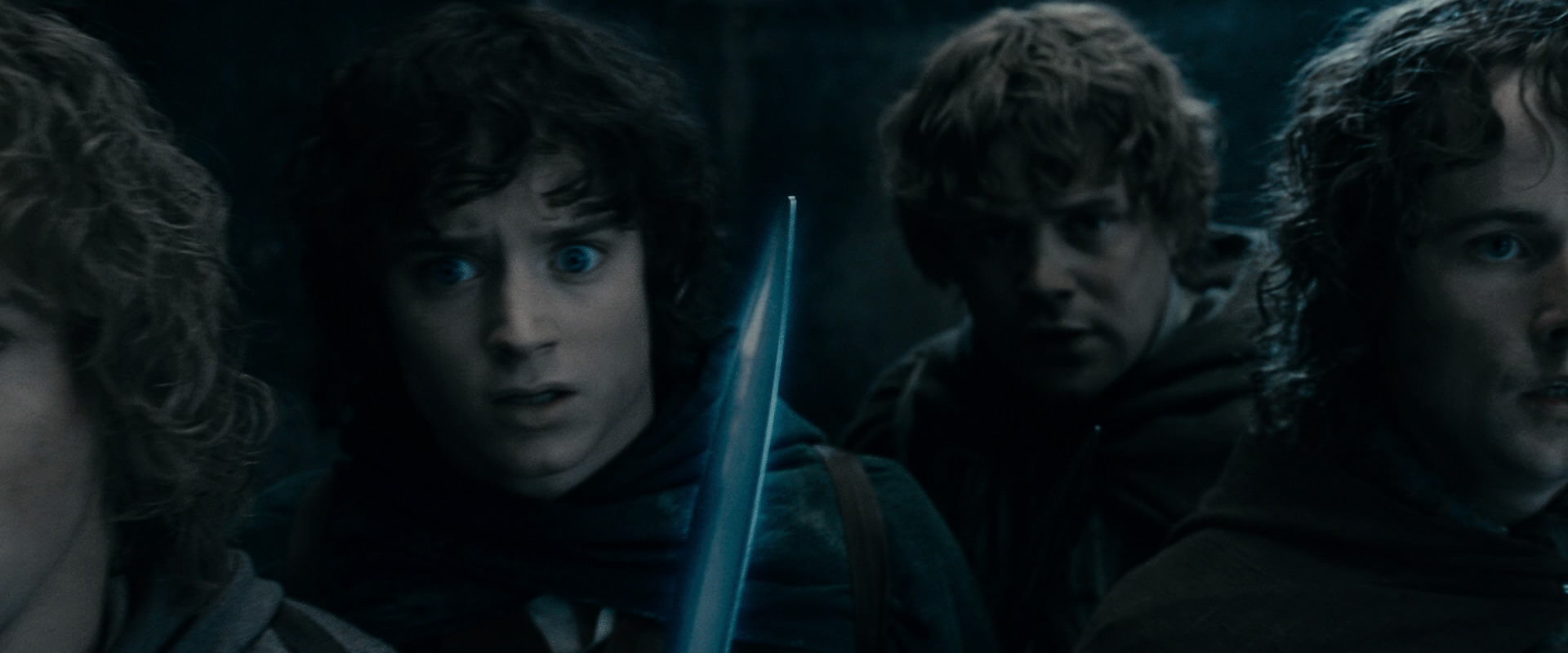 The Lord of the Rings: The Fellowship of the Ring (2001) HD screenshot 15884