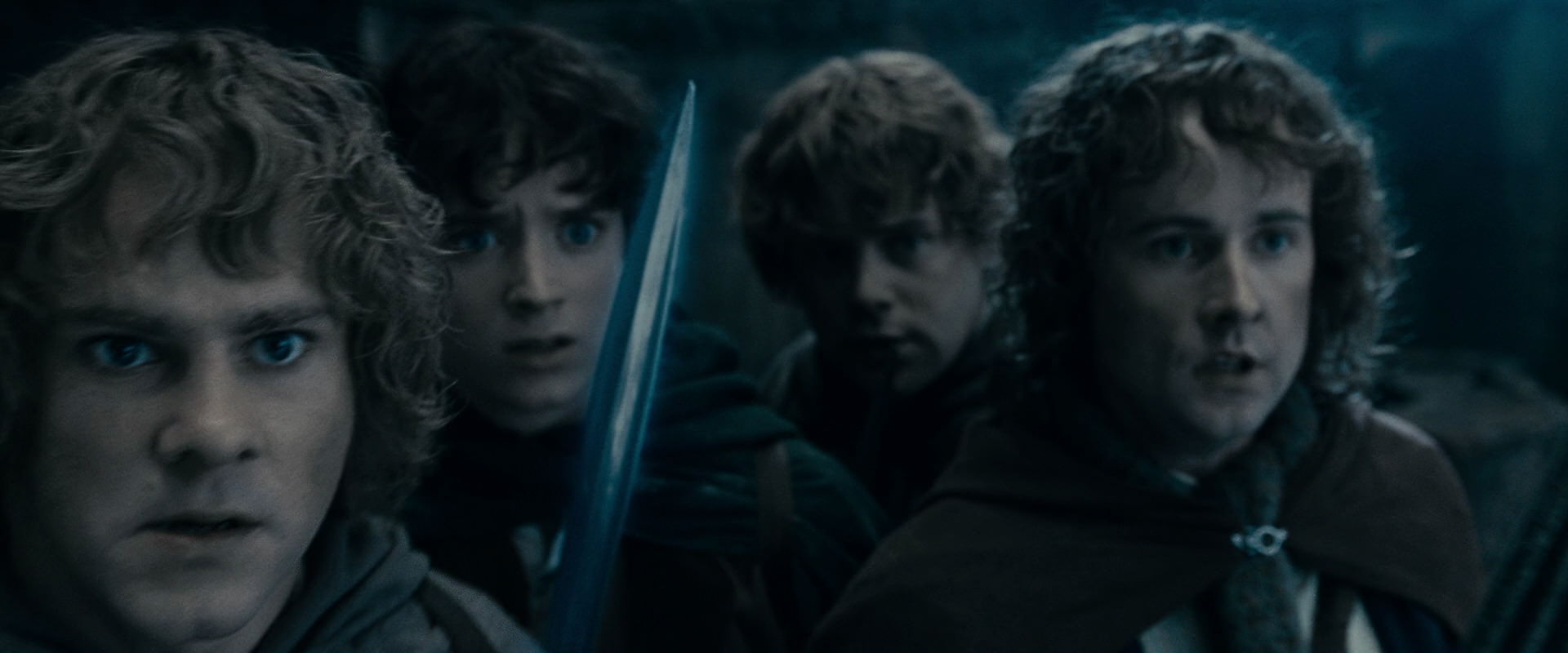 The Lord of the Rings: The Fellowship of the Ring (2001) HD screenshot 15896