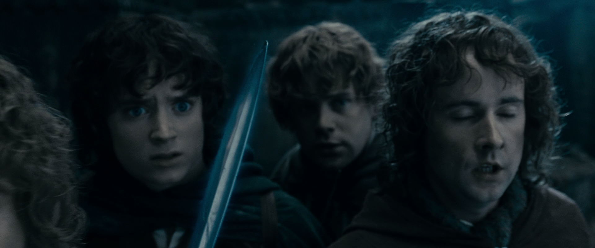 The Lord of the Rings: The Fellowship of the Ring (2001) screencap 15897