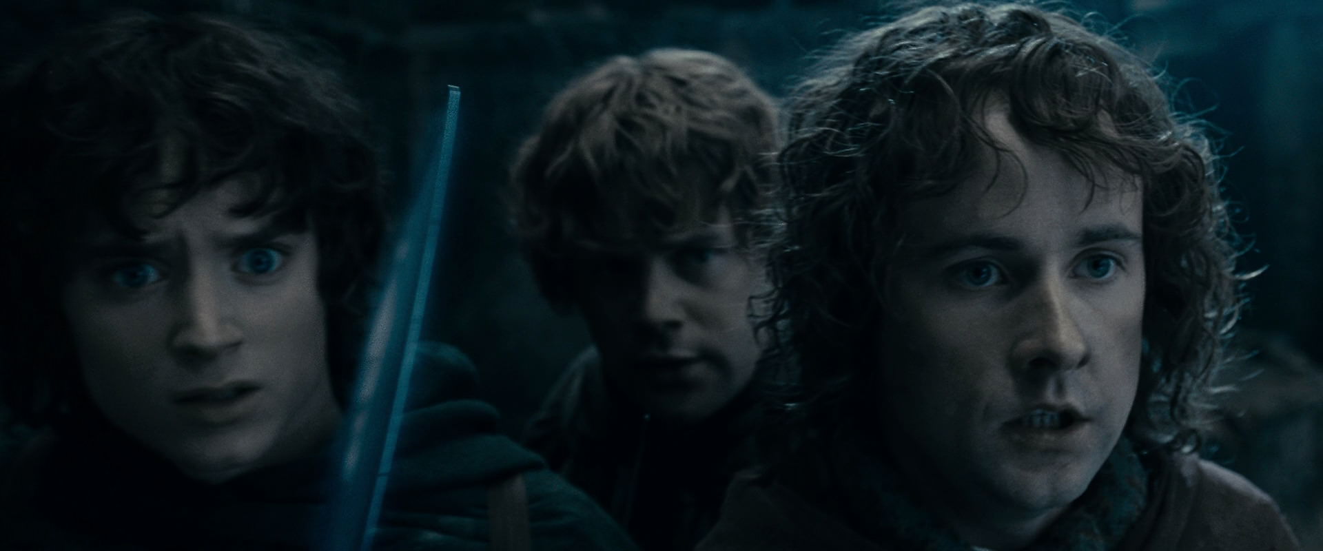The Lord of the Rings: The Fellowship of the Ring (2001) movie still 15898