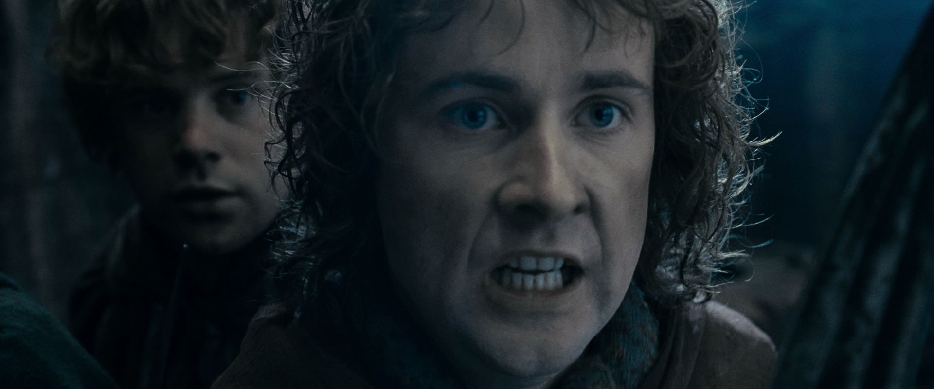 The Lord of the Rings: The Fellowship of the Ring (2001) screencap 15951