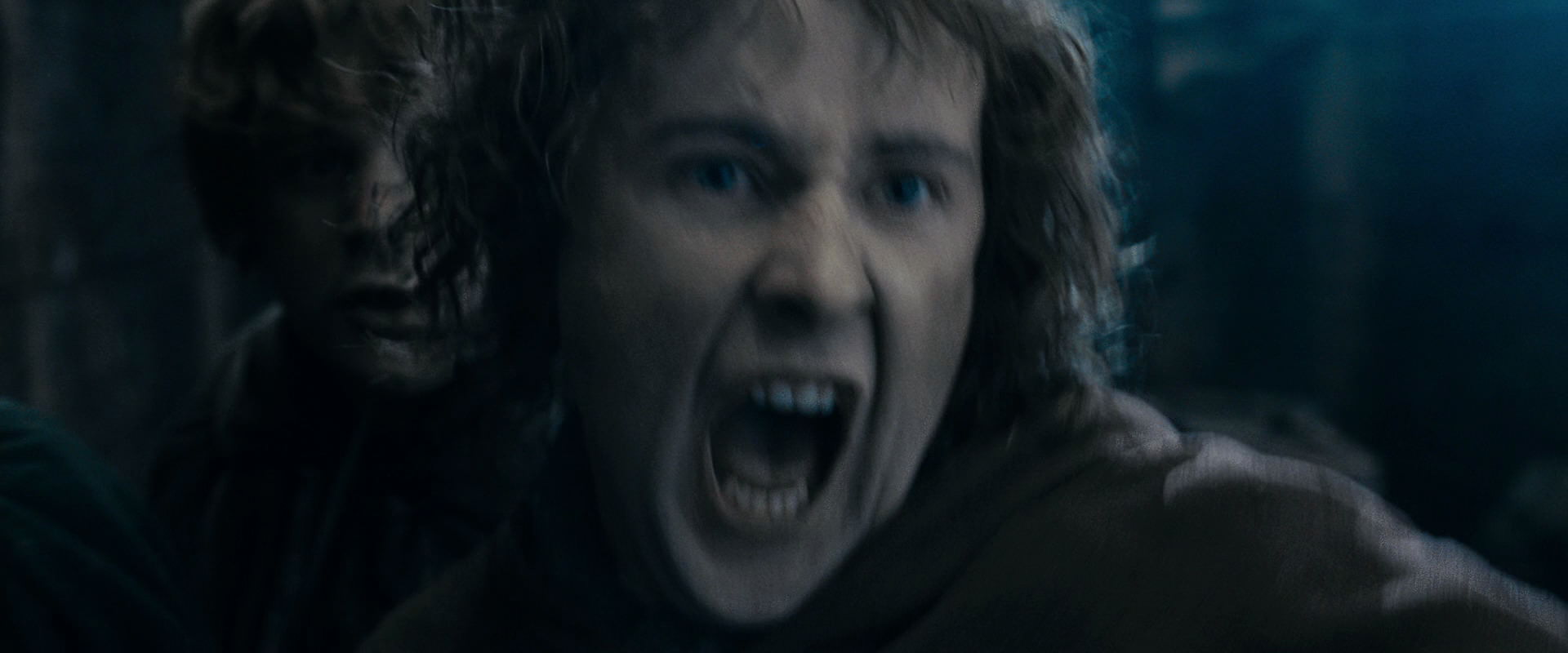 The Lord of the Rings: The Fellowship of the Ring (2001) movie still 15952