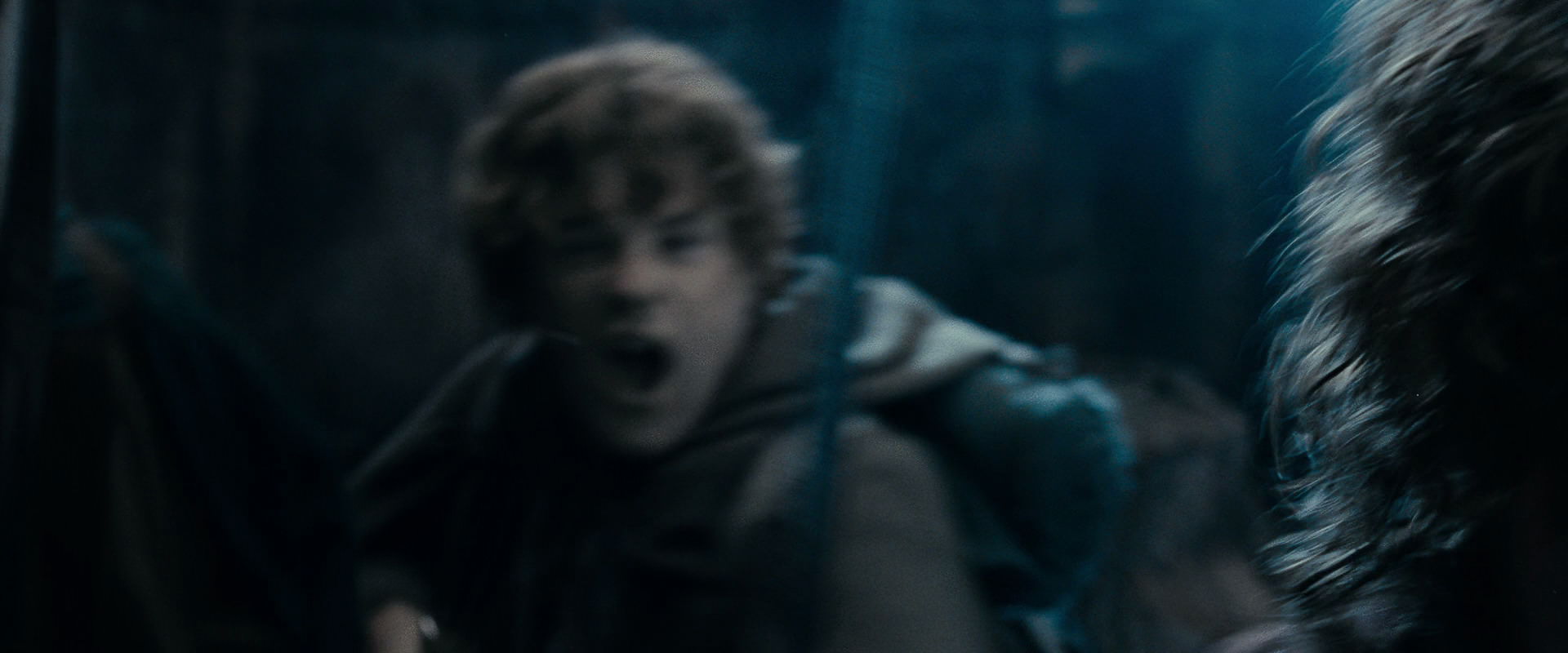 The Lord of the Rings: The Fellowship of the Ring (2001) HD screenshot 15953
