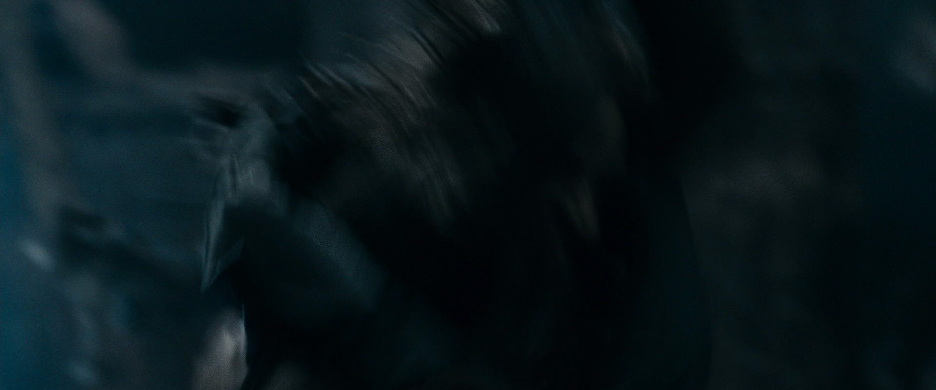 The Lord of the Rings: The Fellowship of the Ring (2001) screencap 15966