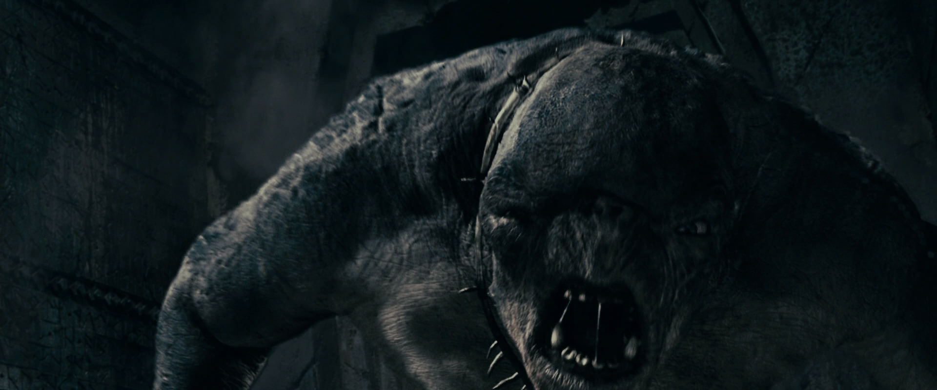 The Lord of the Rings: The Fellowship of the Ring (2001) HD screenshot 15986