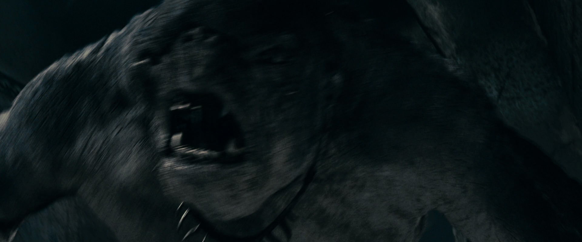 The Lord of the Rings: The Fellowship of the Ring (2001) screencap 15987