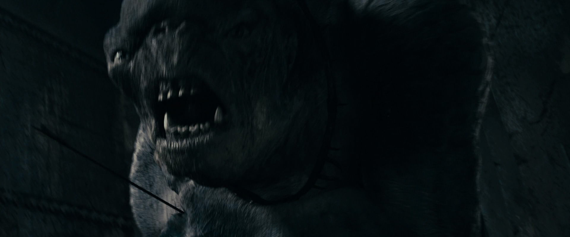 The Lord of the Rings: The Fellowship of the Ring (2001) screencap 15993