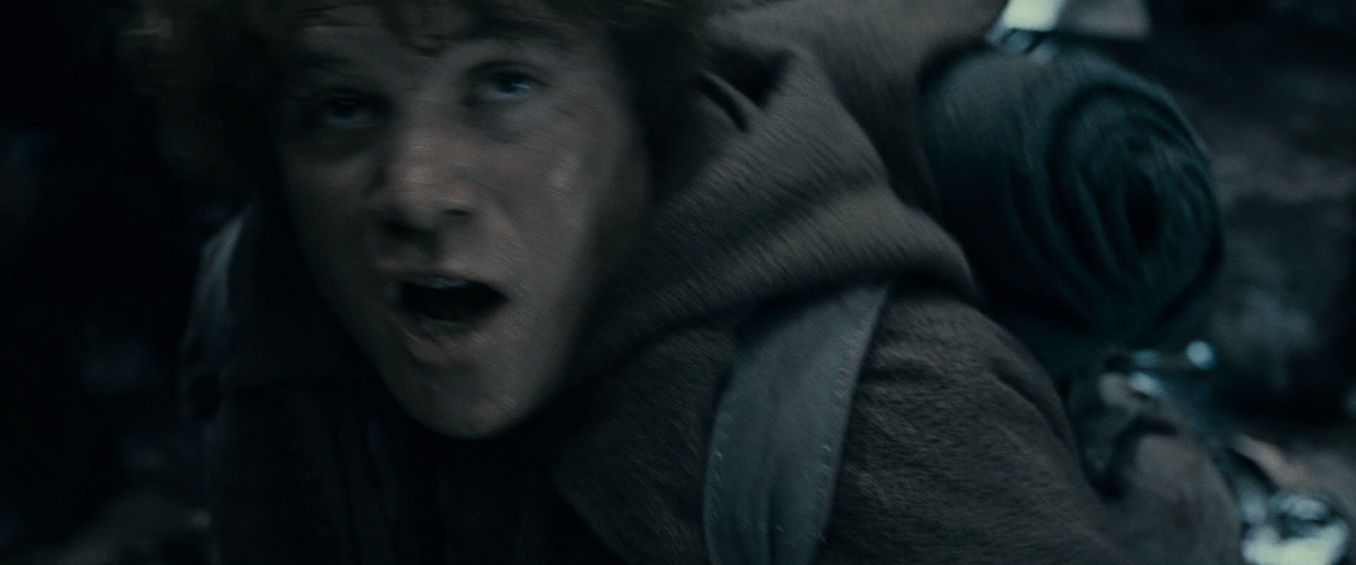 The Lord of the Rings: The Fellowship of the Ring (2001) HD screenshot 15998