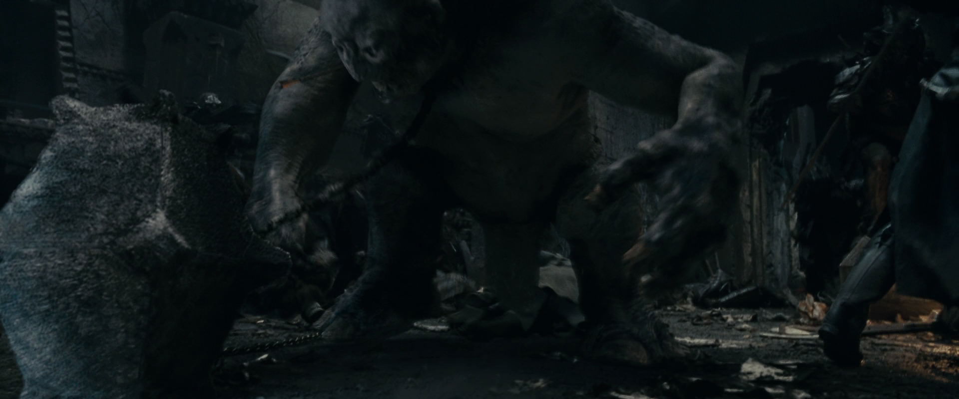 The Lord of the Rings: The Fellowship of the Ring (2001) screencap 16002