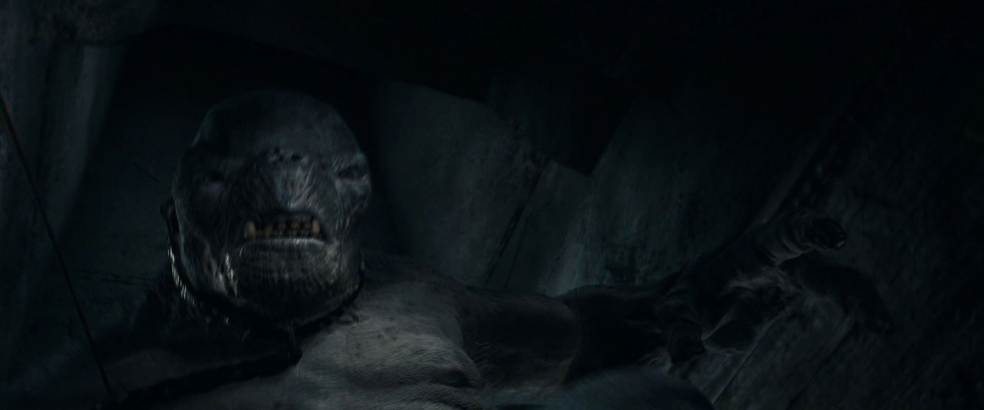 The Lord of the Rings: The Fellowship of the Ring (2001) movie still 16012