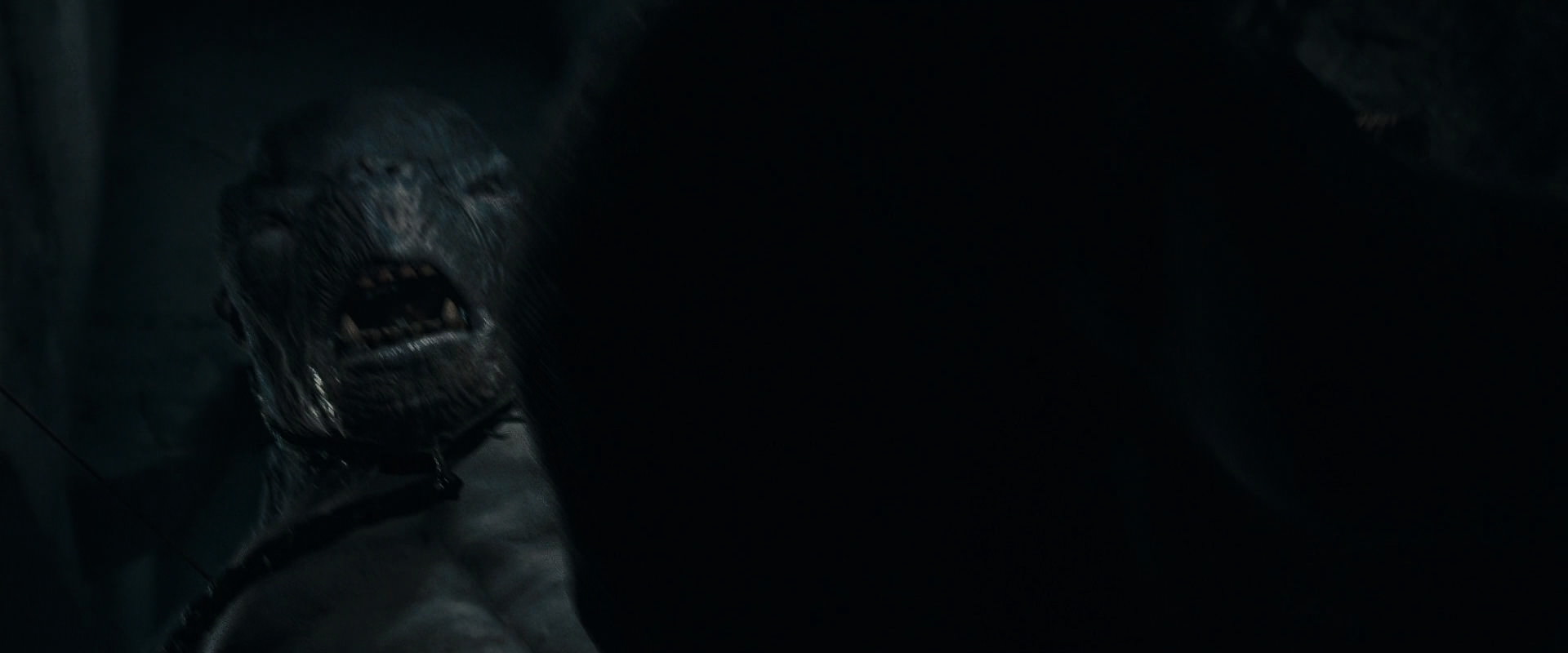 The Lord of the Rings: The Fellowship of the Ring (2001) HD screenshot 16013