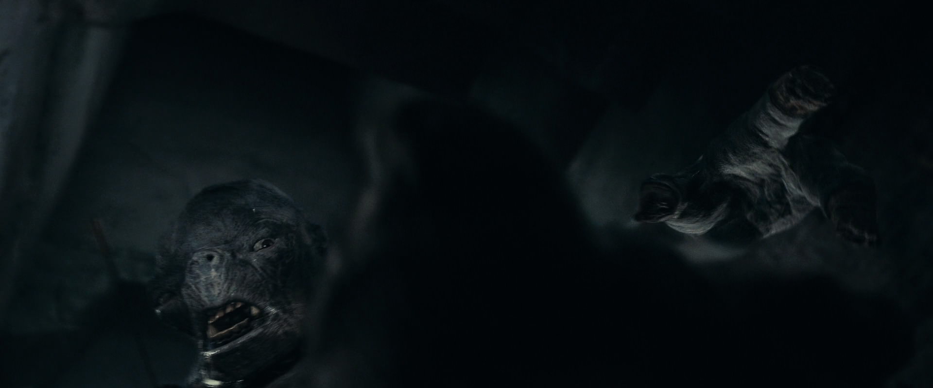 The Lord of the Rings: The Fellowship of the Ring (2001) screencap 16017