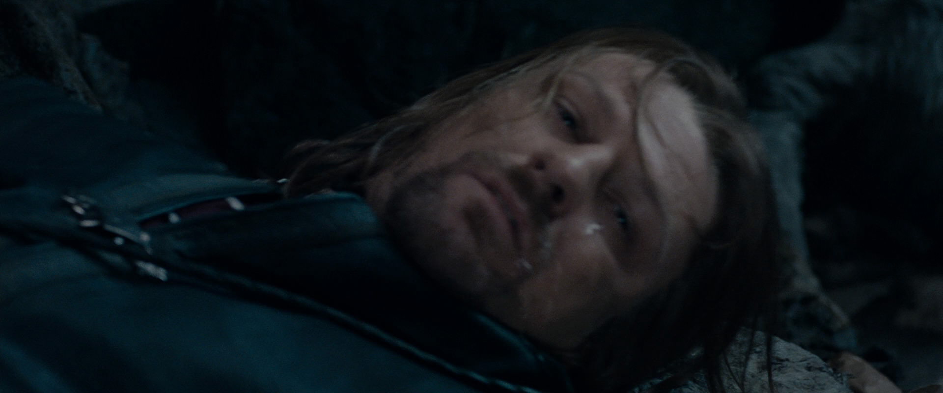 The Lord of the Rings: The Fellowship of the Ring (2001) screencap 16041