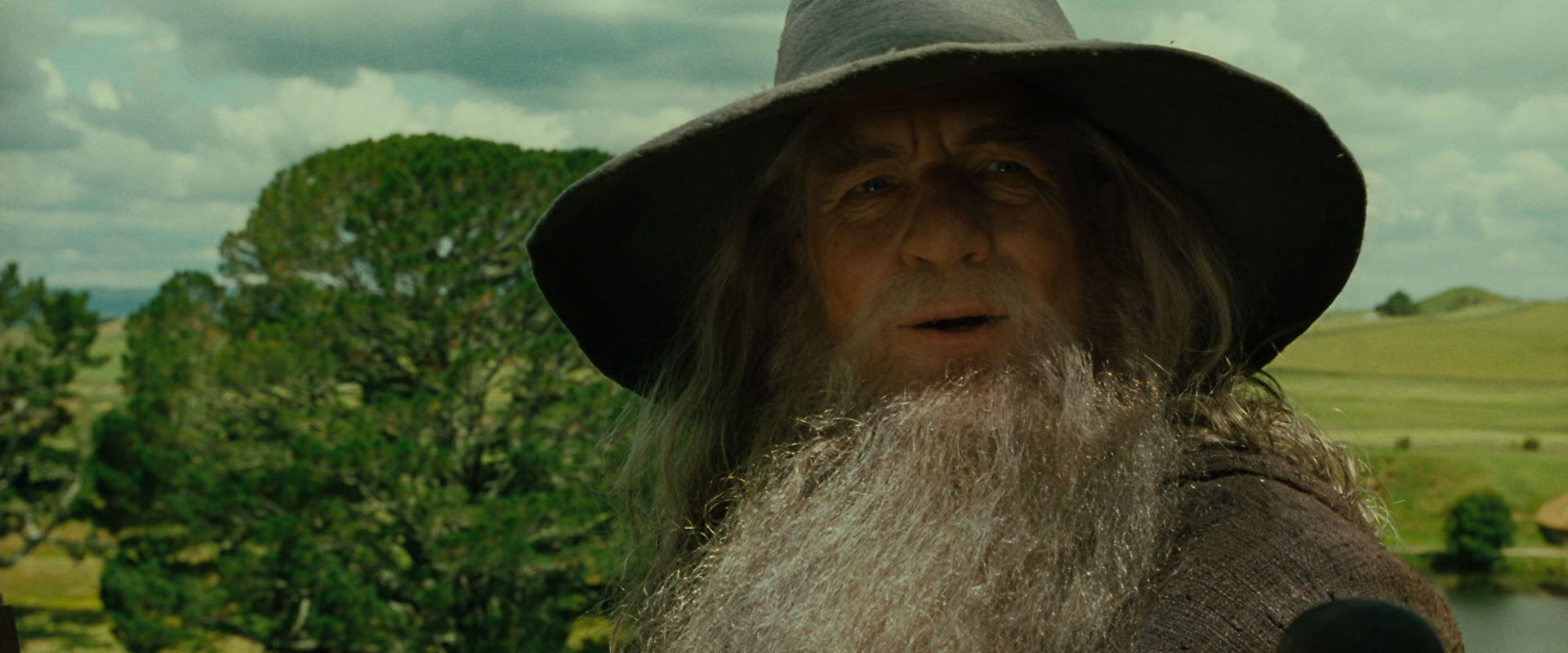 The Lord of the Rings: The Fellowship of the Ring (2001) screencap 1608