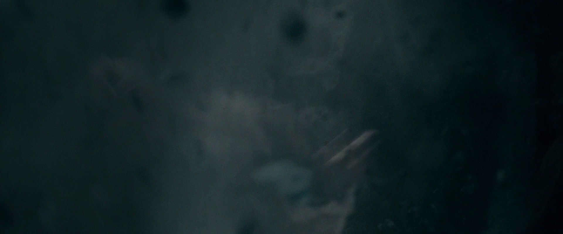 The Lord of the Rings: The Fellowship of the Ring (2001) screencap 16119