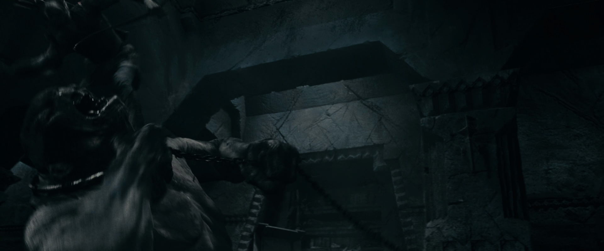 The Lord of the Rings: The Fellowship of the Ring (2001) HD screenshot 16133