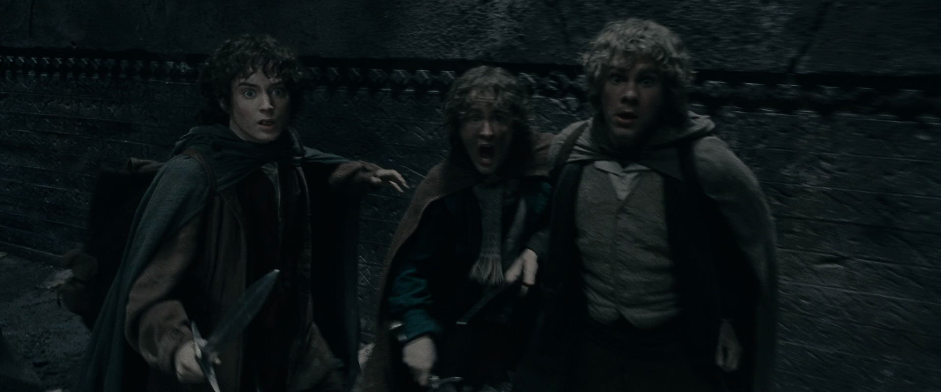 The Lord of the Rings: The Fellowship of the Ring (2001) HD screenshot 16163