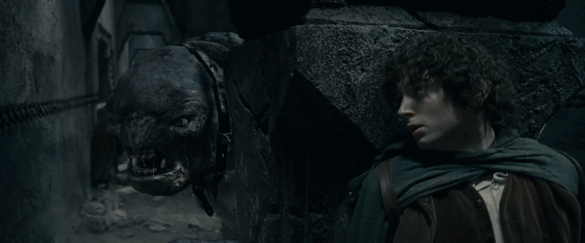 The Lord of the Rings: The Fellowship of the Ring (2001) screencap 16179