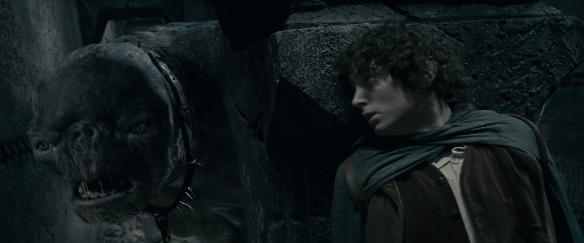 The Lord of the Rings: The Fellowship of the Ring (2001) HD screenshot 16181