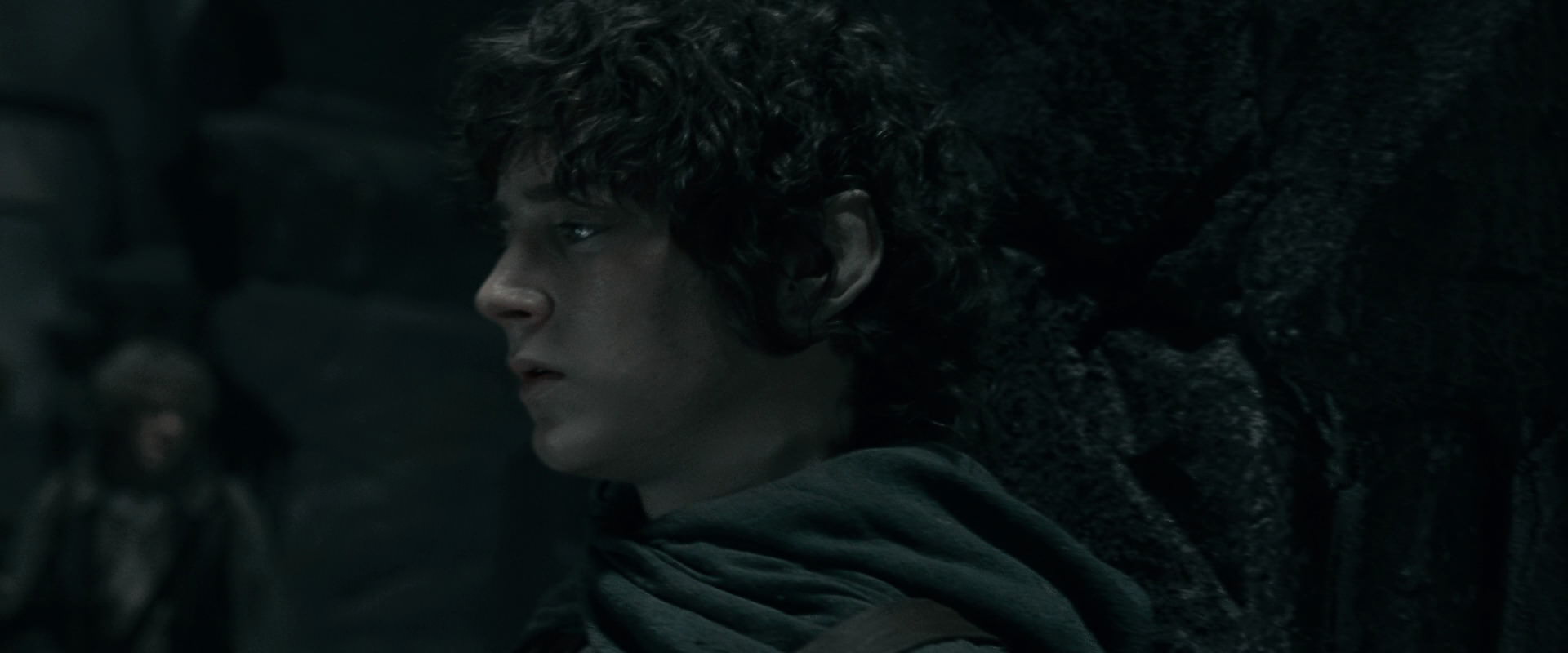 The Lord of the Rings: The Fellowship of the Ring (2001) movie still 16219