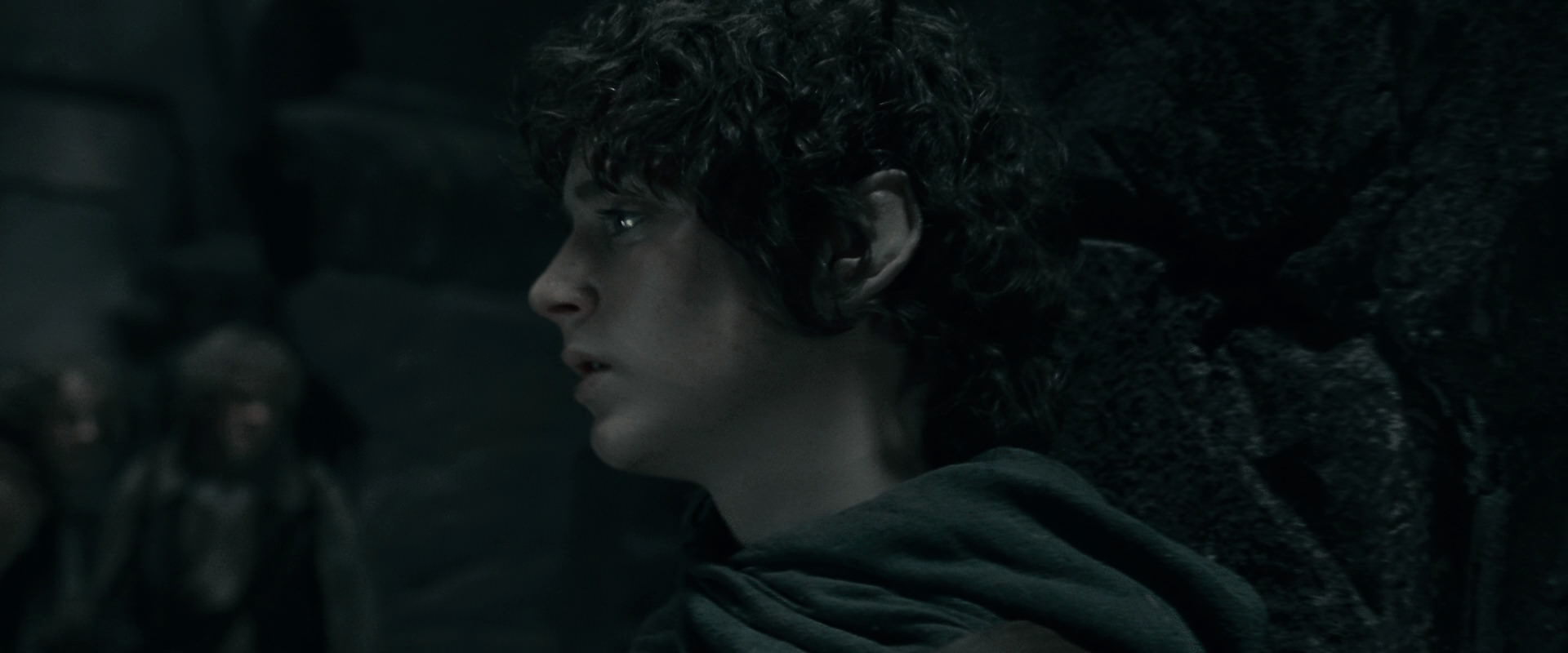 The Lord of the Rings: The Fellowship of the Ring (2001) HD screenshot 16220