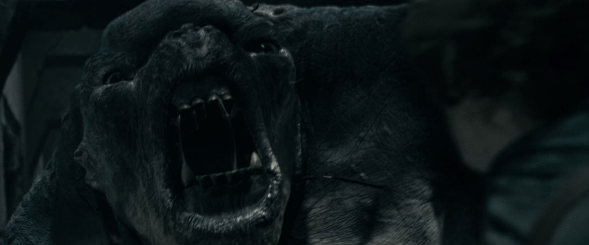 The Lord of the Rings: The Fellowship of the Ring (2001) HD screenshot 16223