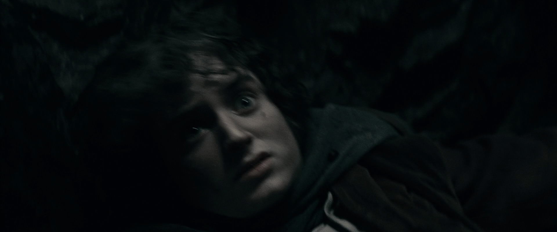 The Lord of the Rings: The Fellowship of the Ring (2001) screencap 16278