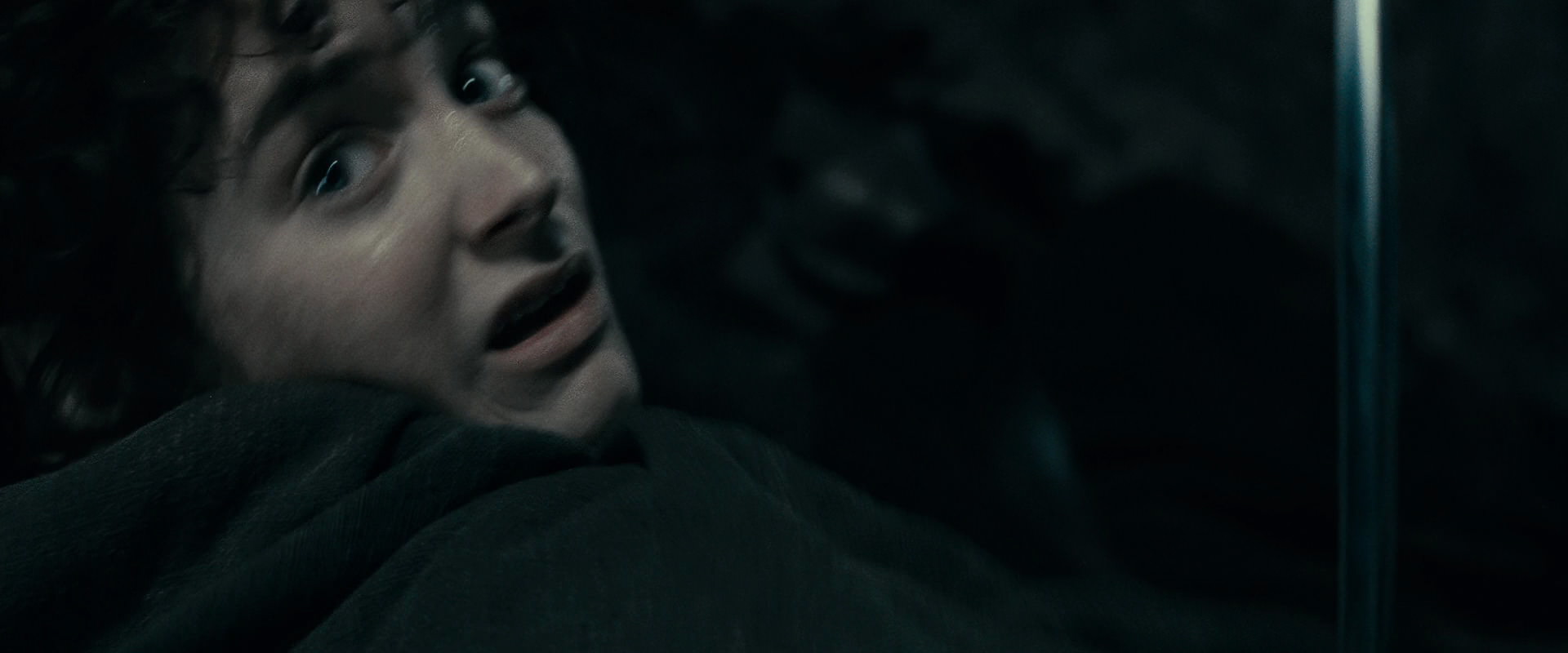 The Lord of the Rings: The Fellowship of the Ring (2001) screencap 16290