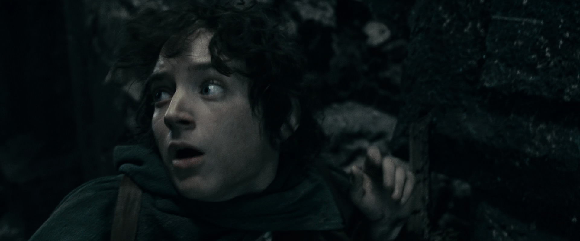 The Lord of the Rings: The Fellowship of the Ring (2001) HD screenshot 16298