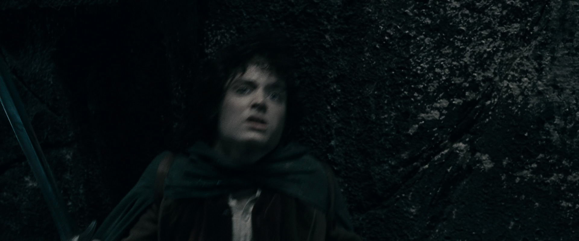 The Lord of the Rings: The Fellowship of the Ring (2001) screencap 16302