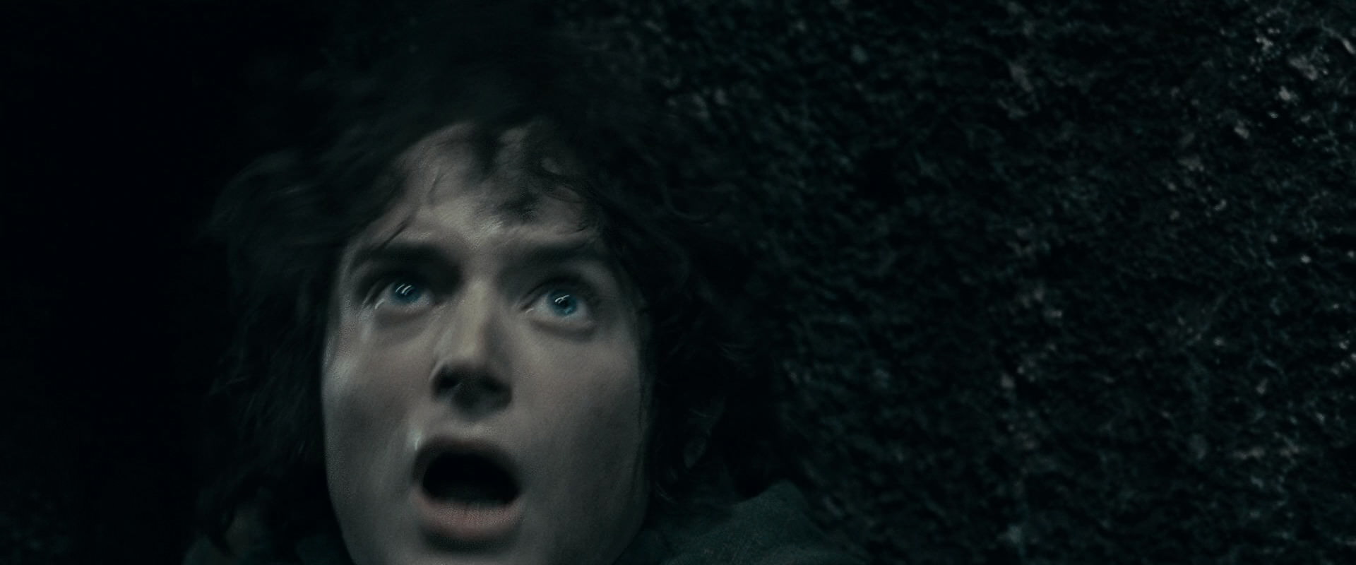 The Lord of the Rings: The Fellowship of the Ring (2001) HD screenshot 16307