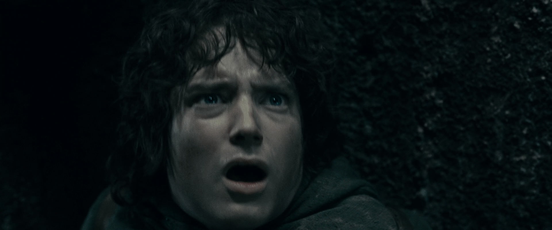 The Lord of the Rings: The Fellowship of the Ring (2001) screencap 16308